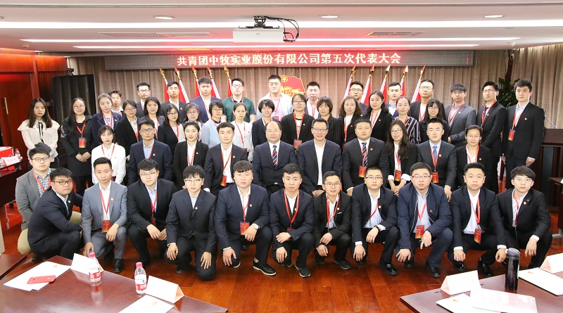 07104603je99.jpg