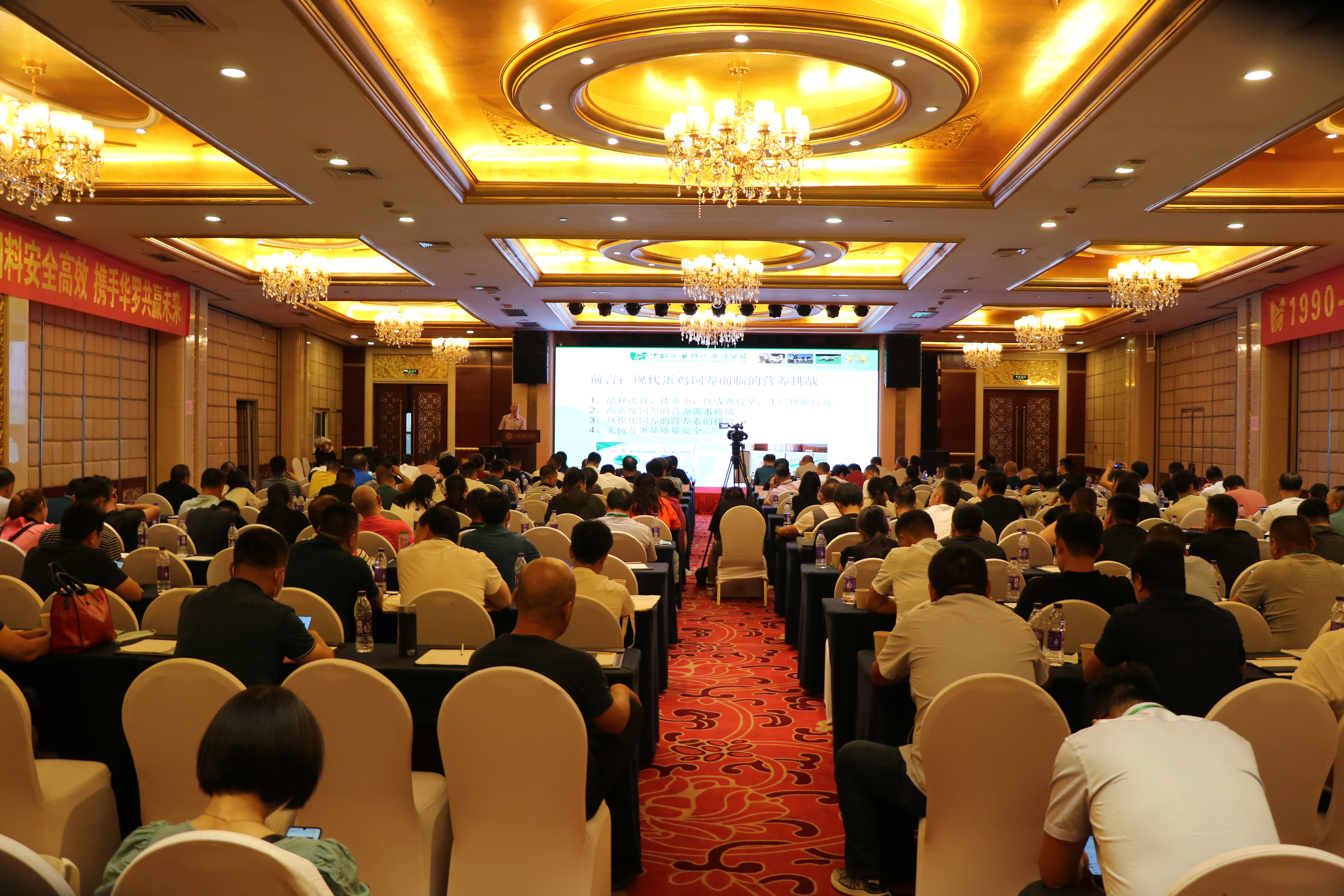 蛋鸡峰会3.JPG