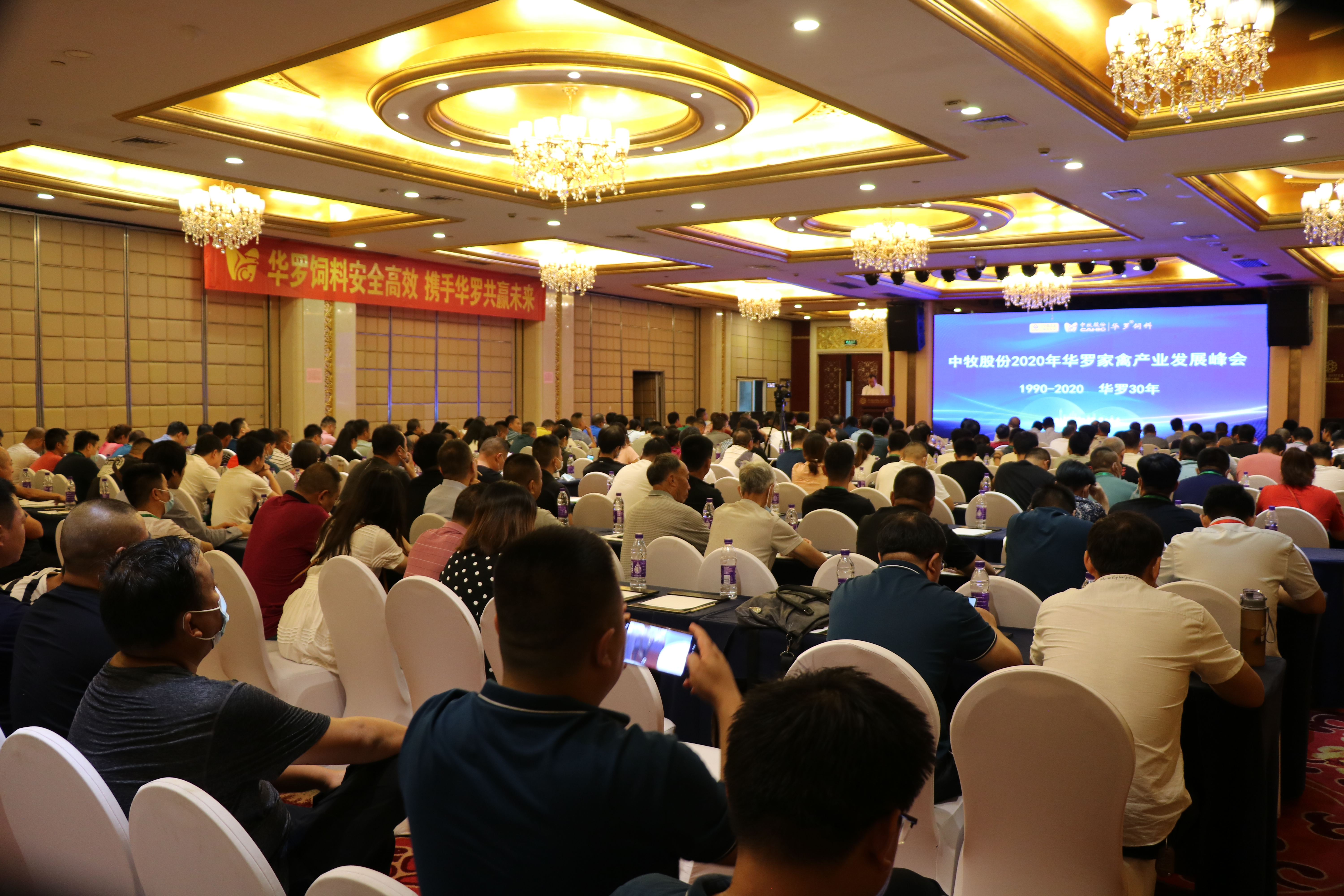 蛋鸡峰会.JPG
