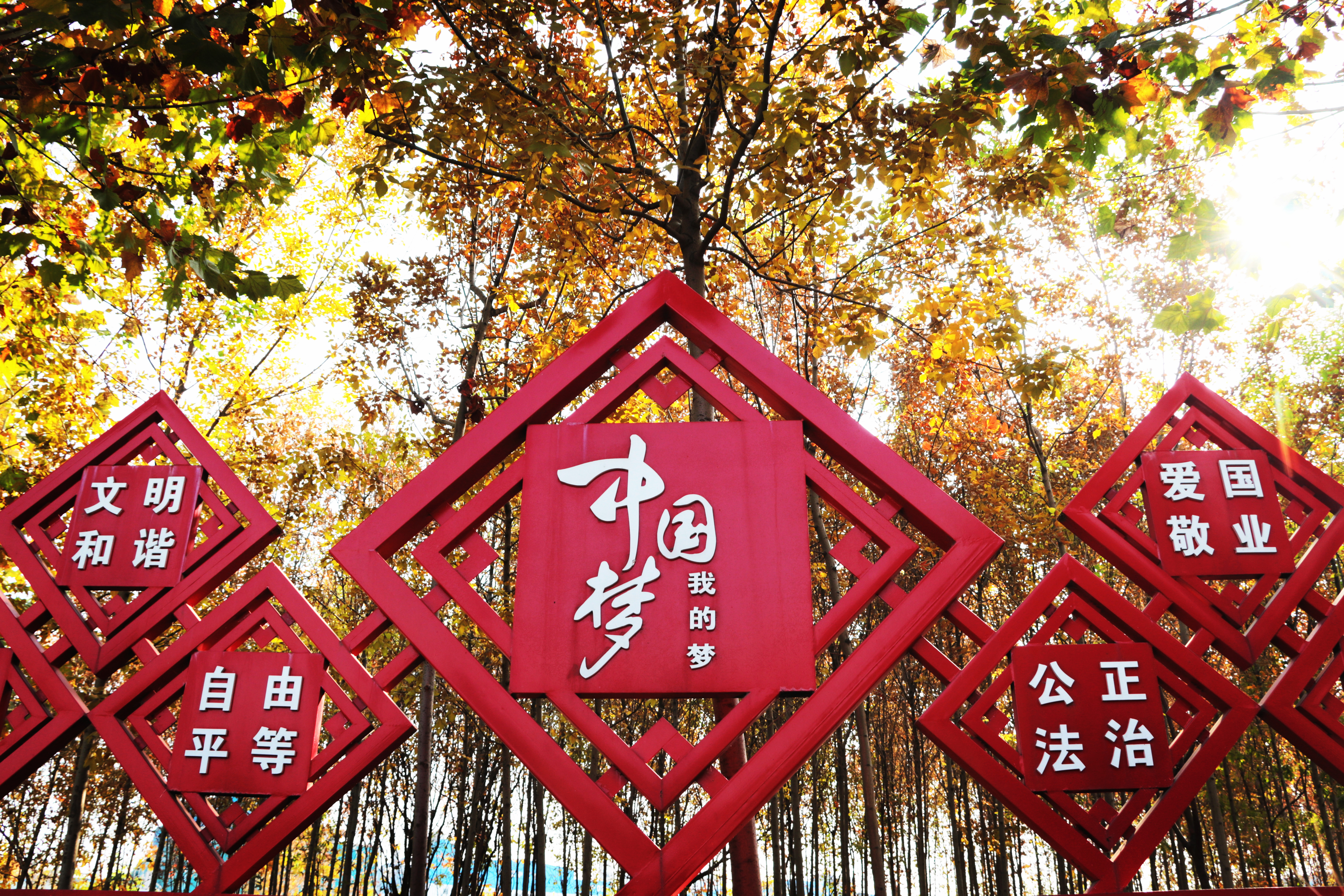 厂区景色 (3).jpg