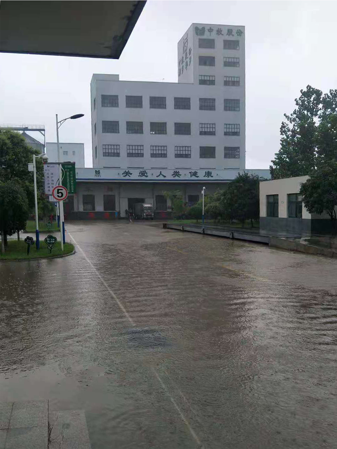 厂区院内一片汪洋.jpg