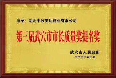202203：第三届武穴市市长质量奖提名奖（武穴市人民政府颁发） 拷贝.png