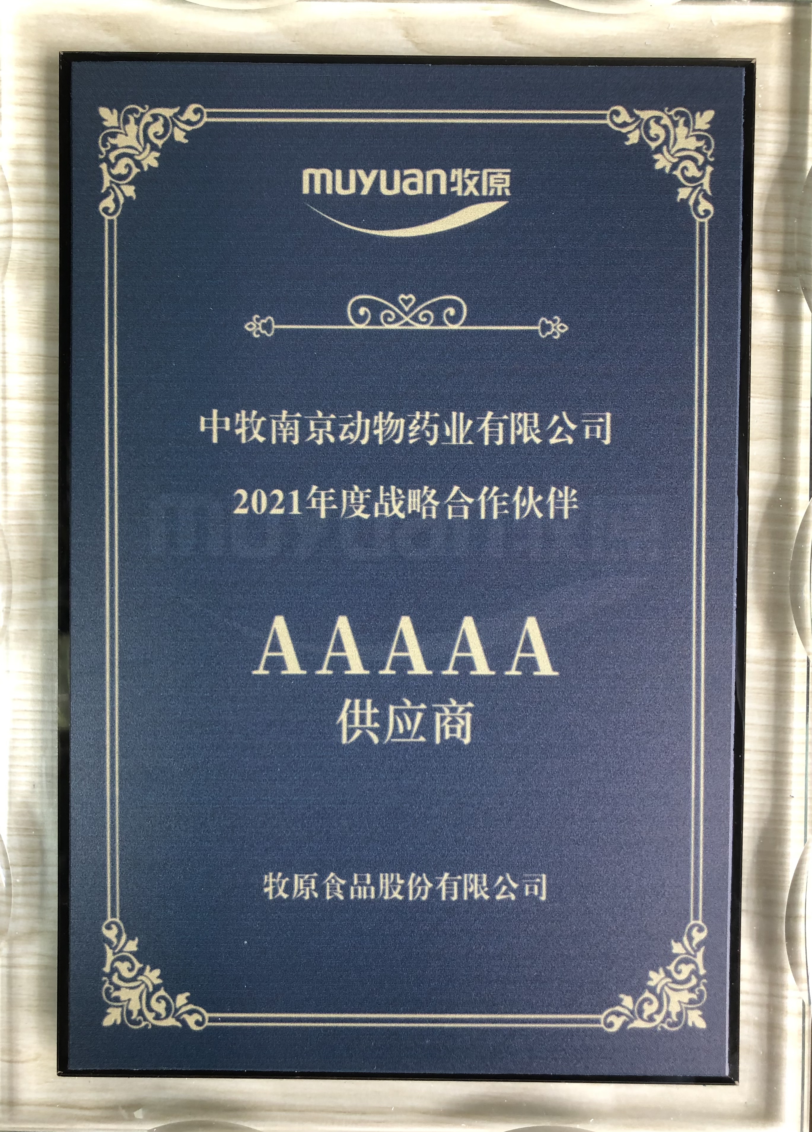 新闻图片.jpg