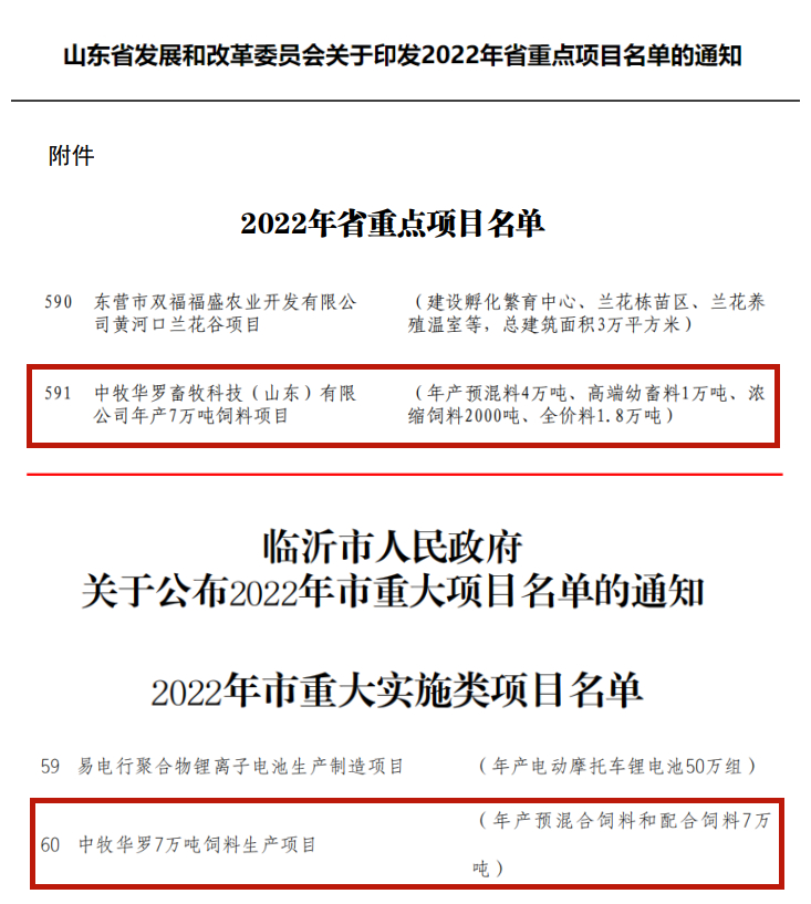 重点项目名单.jpg