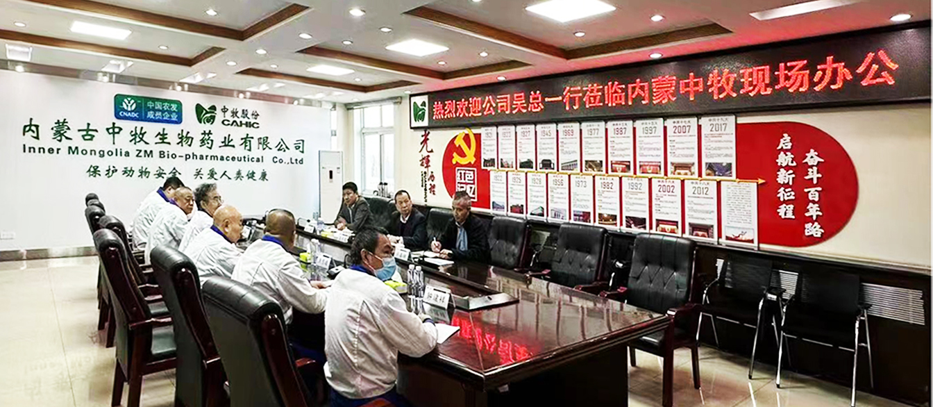 图片6 拷贝.jpg