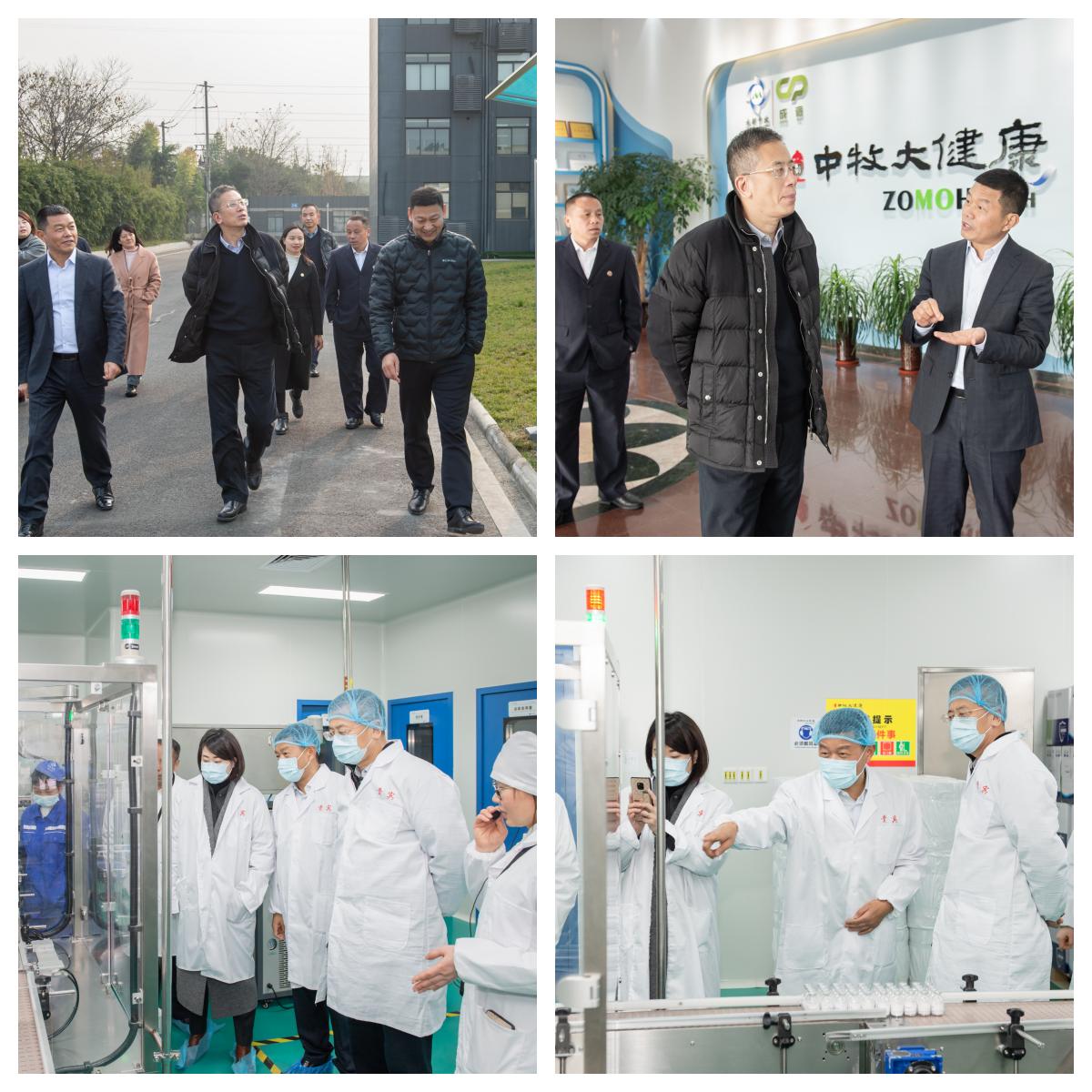 配图2-ZMS_5444 拷贝_副本.jpg