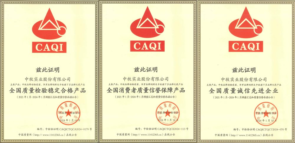 三个奖项拼接_副本.jpg